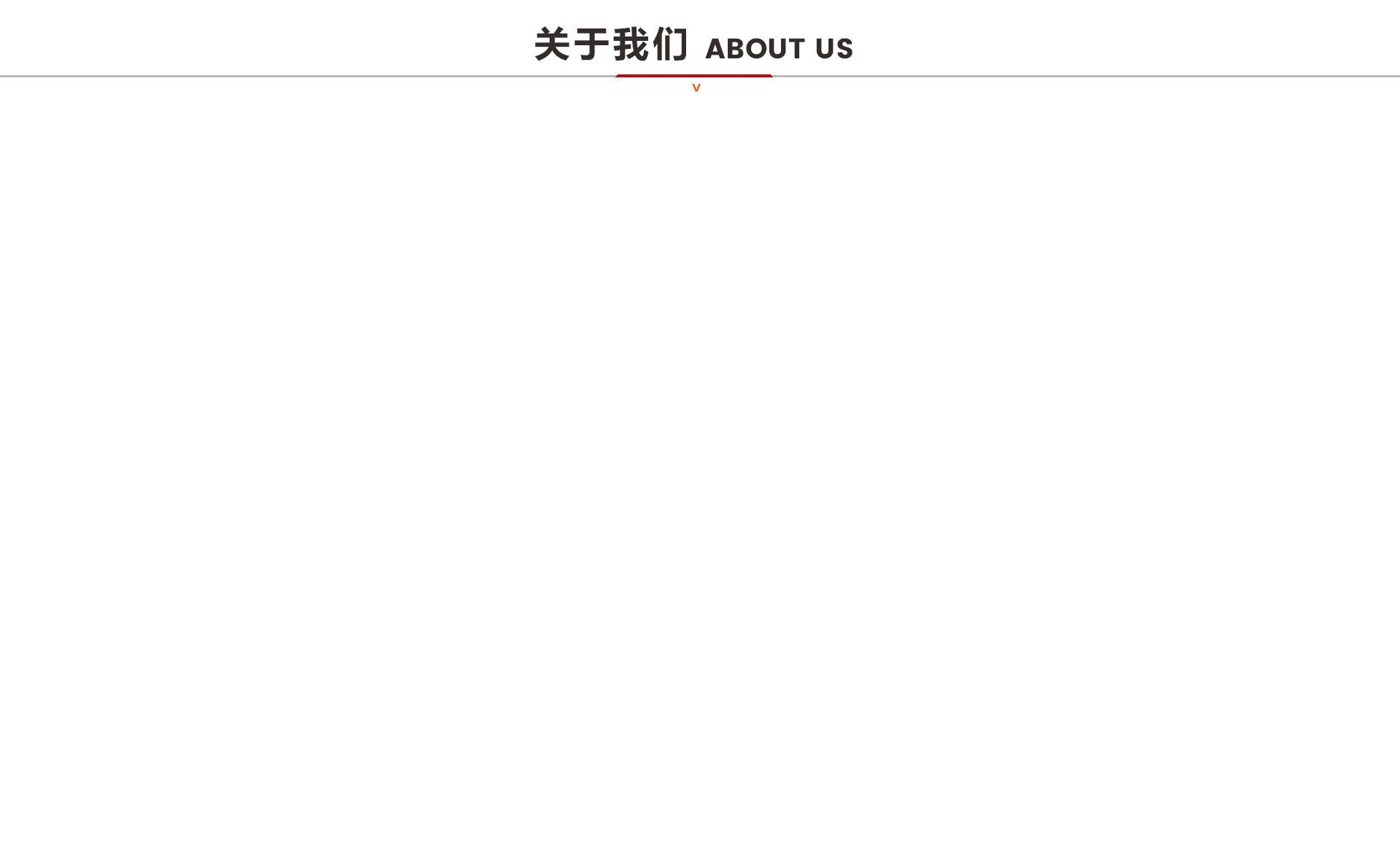 公司简介